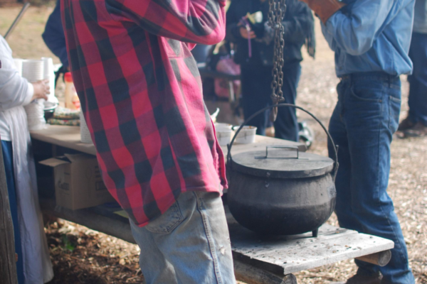 Setting out new bean pot.