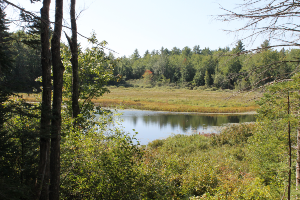 View From Hiking Trail