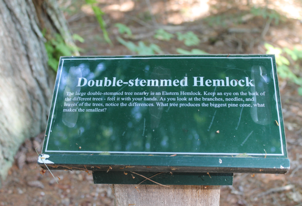 Tree sign on Nature Trail.