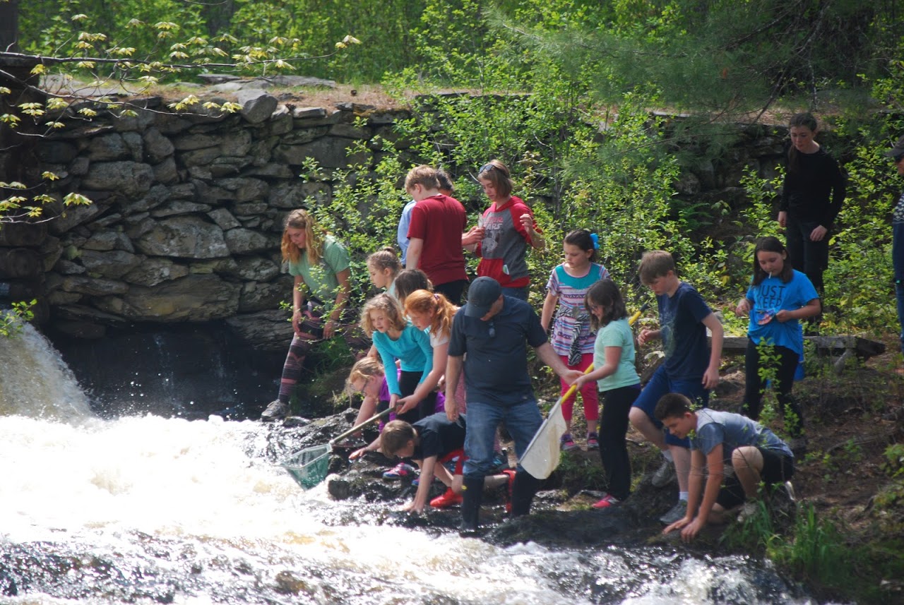 Kids on stream bank.