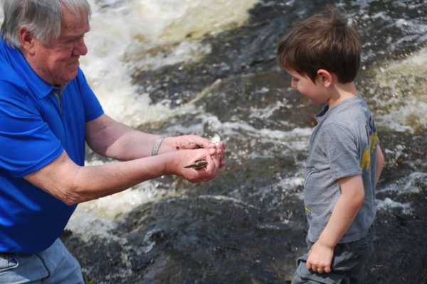 Man showing boy alewife.