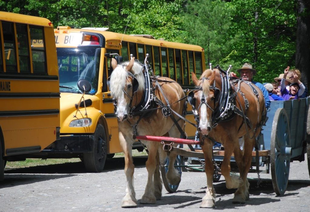 Horse-drawn wagon goes by busses.