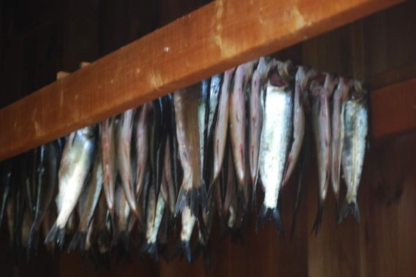 Smoking Alewives
