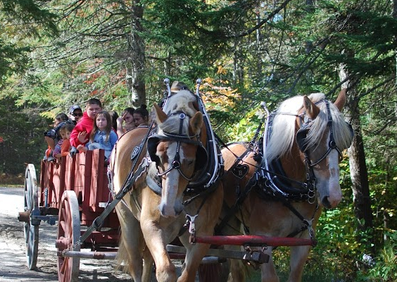 2018 Living History Horses and Wagon